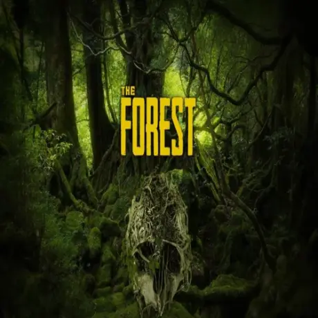 The Forest ACCOUNT PC STEAM